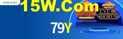 Premium Interface 79Y